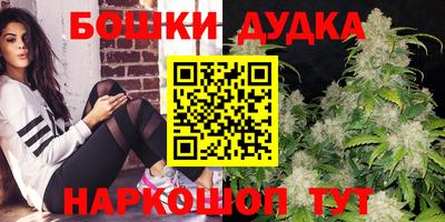 мдпв Будённовск