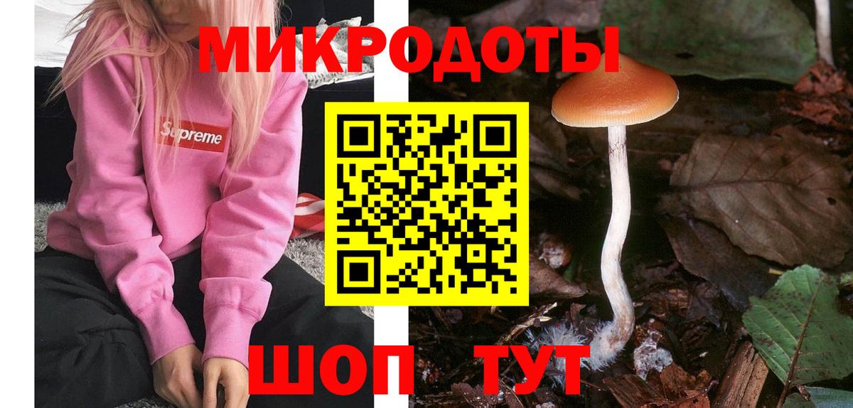 Галлюциногенные грибы Psilocybe Фурманов